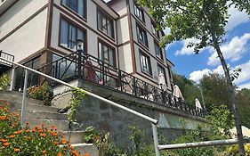 Alya Teras Otel